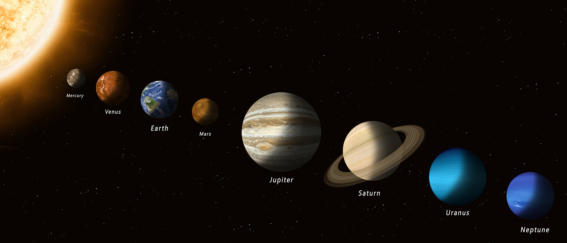 Vida em Outros Planetas do Sistema Solar