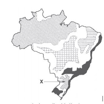 Domínios morfoclimáticos do Brasil: quais são? - Brasil Escola